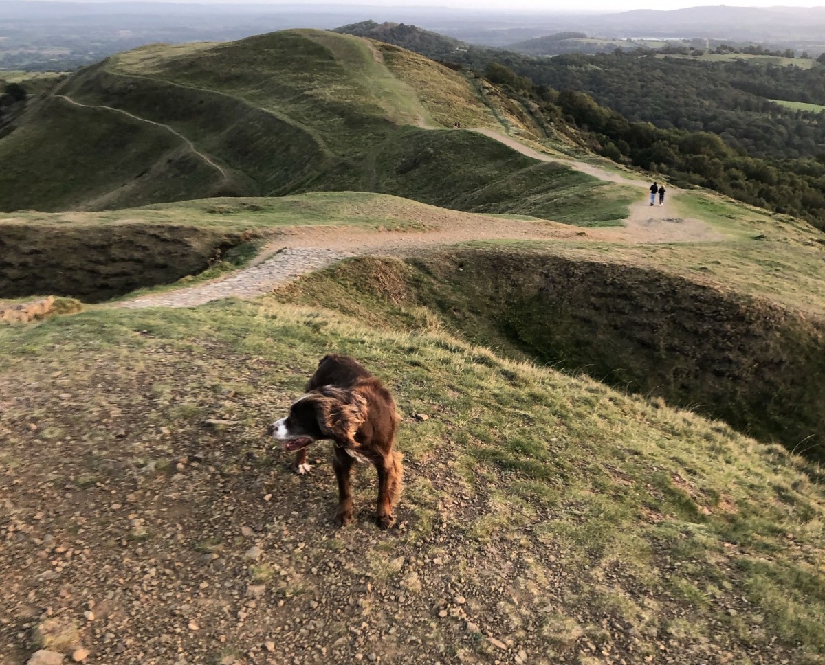 Nigel's view from the Malvern Hills